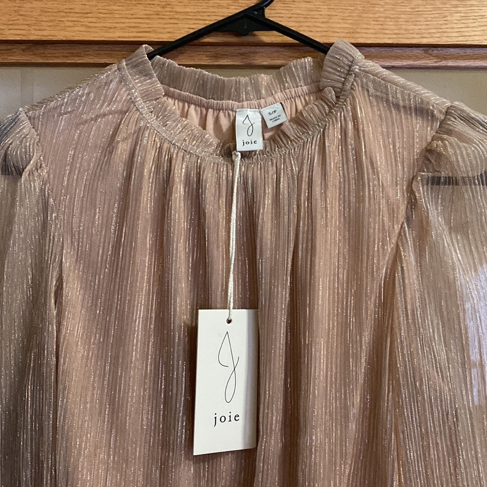 Joie Metallic Ruffle Neck Top with Sheer Sleeves